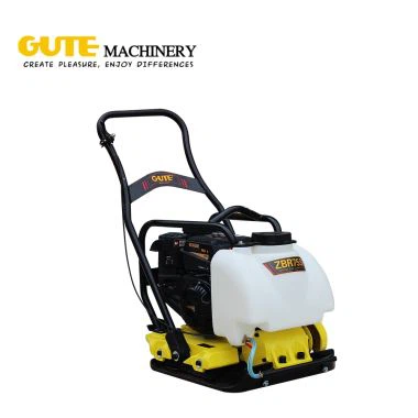 Petrol Compactor